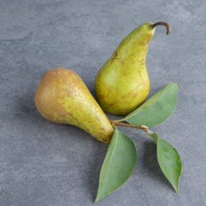 אגס
